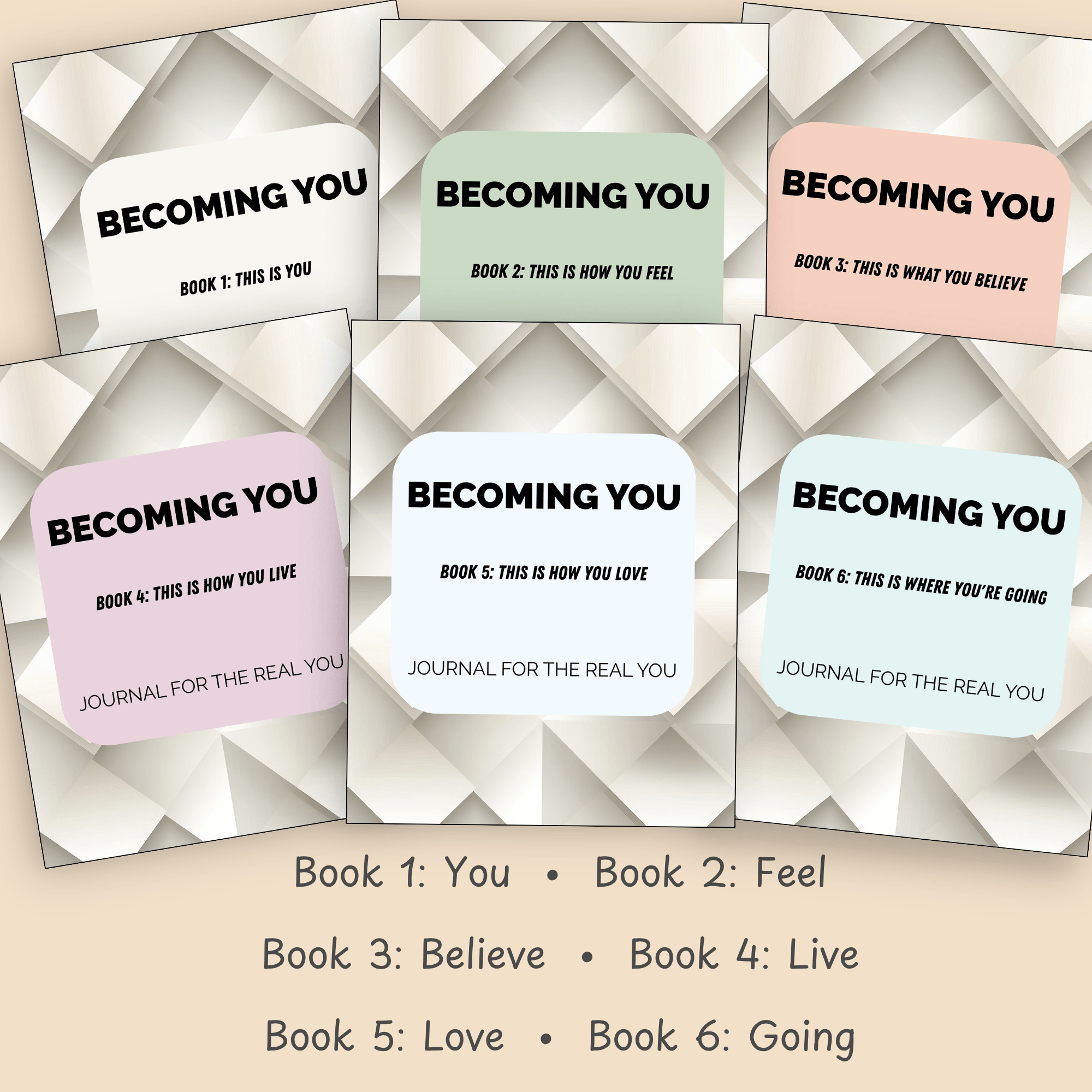 Series slide highlighting the complete 6-book series, from first reflection to future planning.