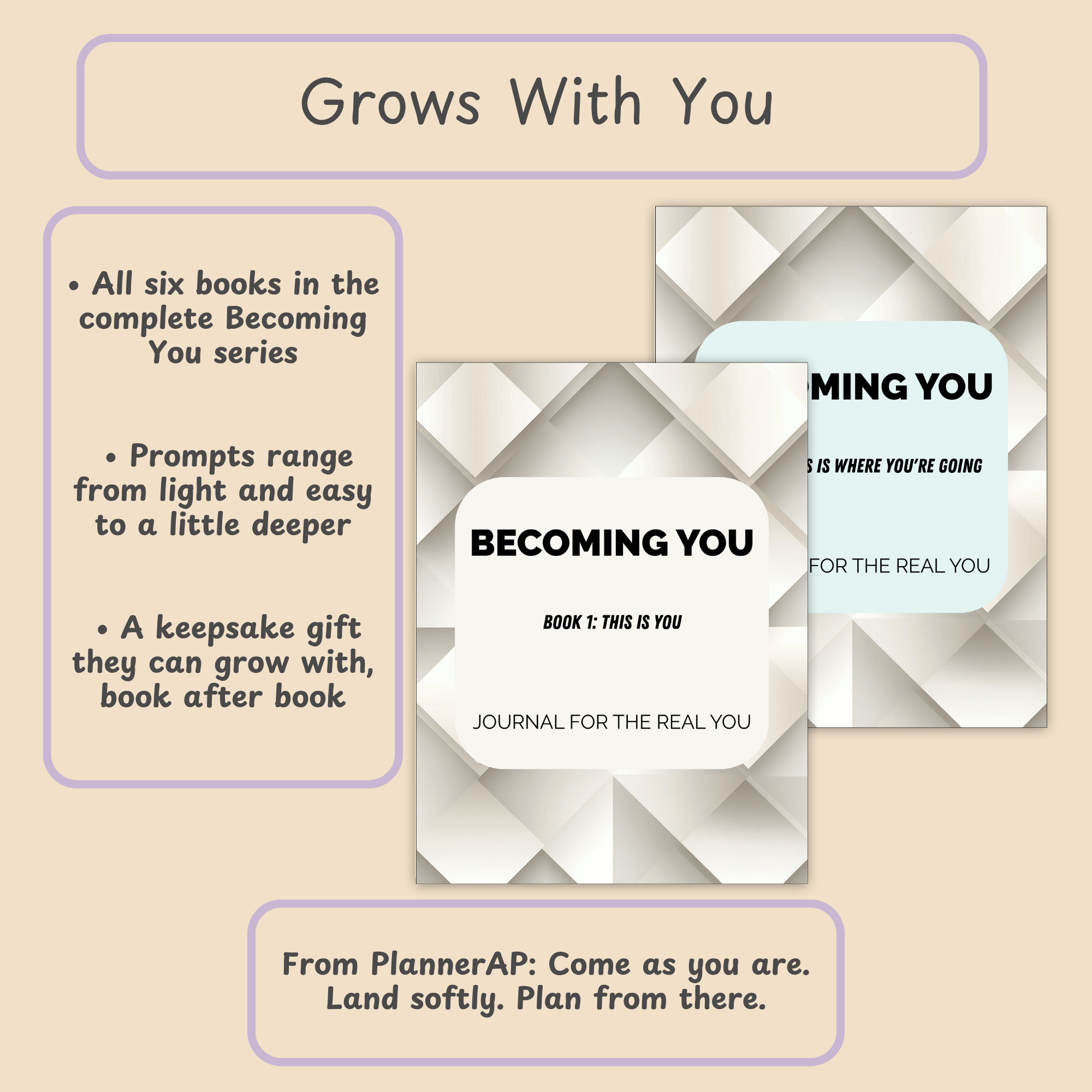 Closing slide with the PlannerAP tagline and a line about the series growing with the reader, book after book.