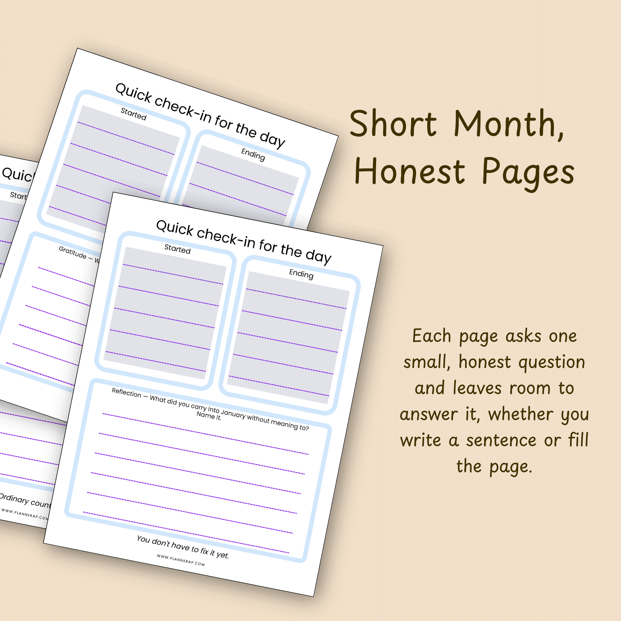 Slide showing sample February journal pages and describing how each page asks one honest question.
